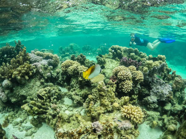 snorkeling